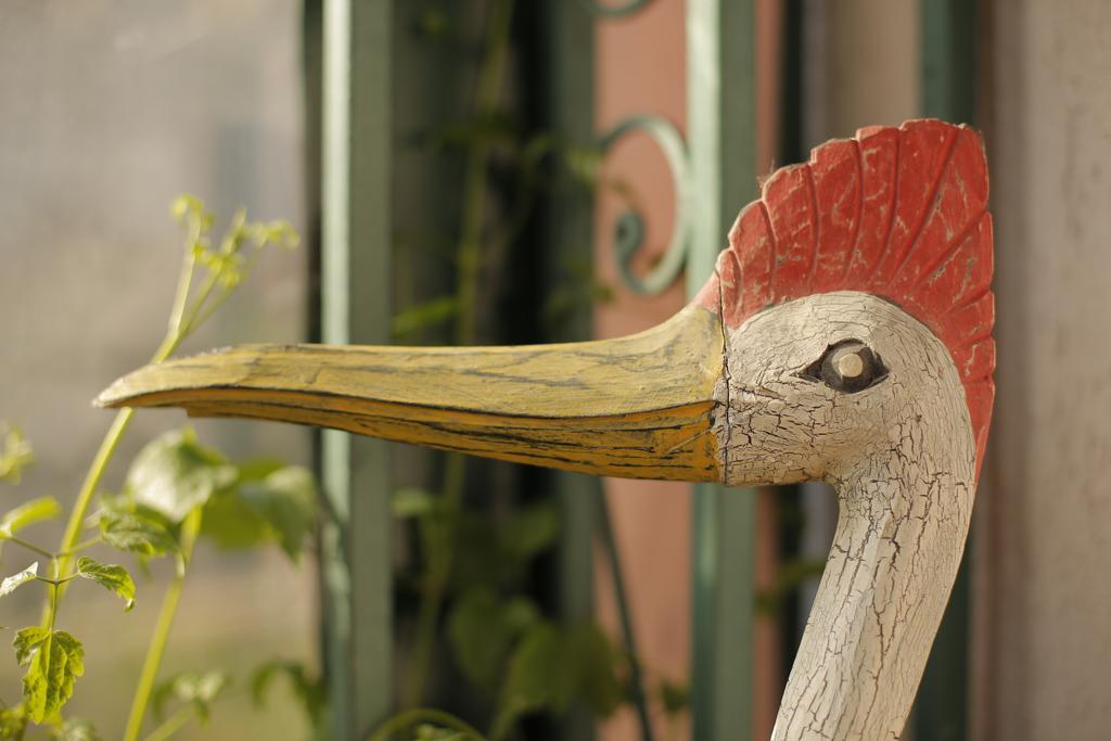 Bed & Breakfast Garden40 Belgrad Dış mekan fotoğraf